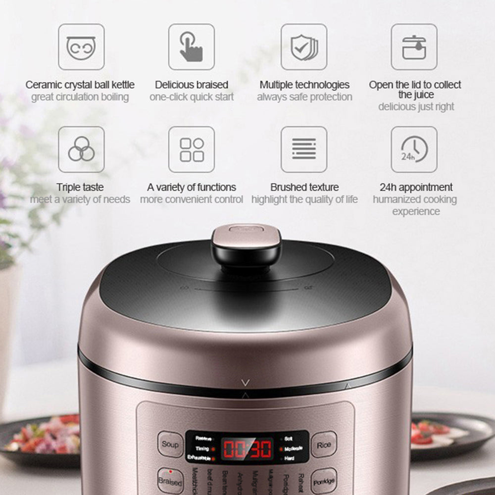 5L Electric Pressure Rice Cooker with LED Display and Preset Cooking Functions
