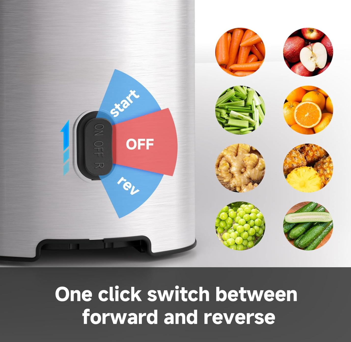 Stainless Steel Slow Juicer with Large Feed Chute for Whole Fruits and Vegetables