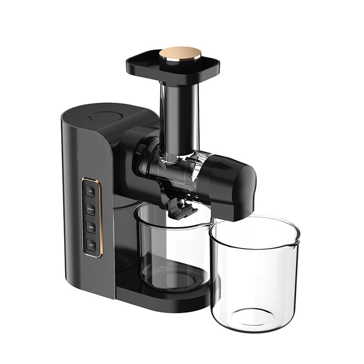 Portable Household Slow Juicer with Low Speed Masticating System and Automatic Pulp Ejection