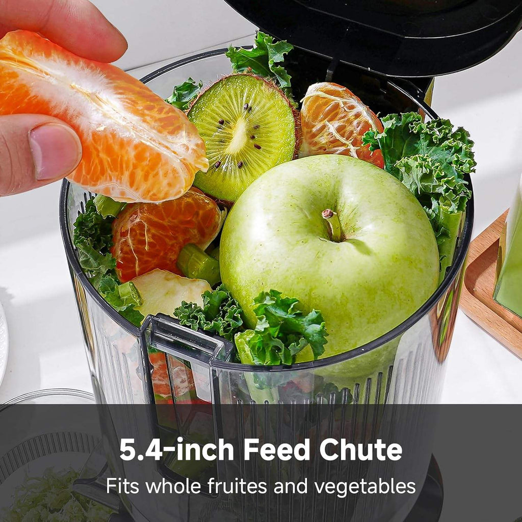 Stainless Steel Slow Juicer with Large Feed Chute for Whole Fruits and Vegetables