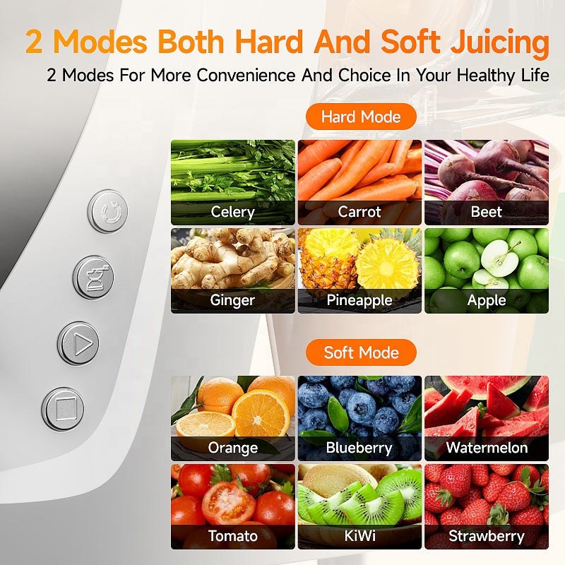 Big Mouth Low Speed Slow Juicer 250W Electric Fruit and Vegetable Juicer