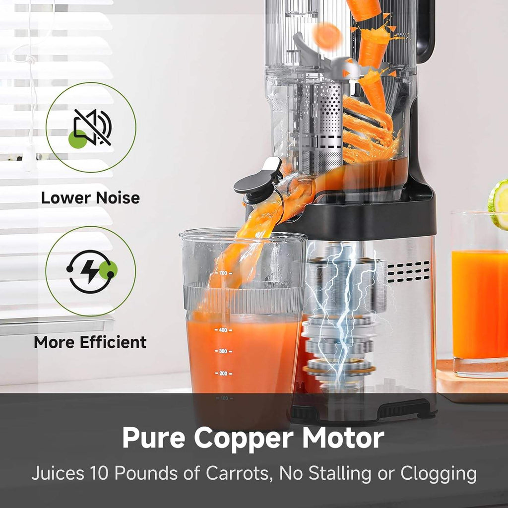 Stainless Steel Slow Juicer with Large Feed Chute for Whole Fruits and Vegetables