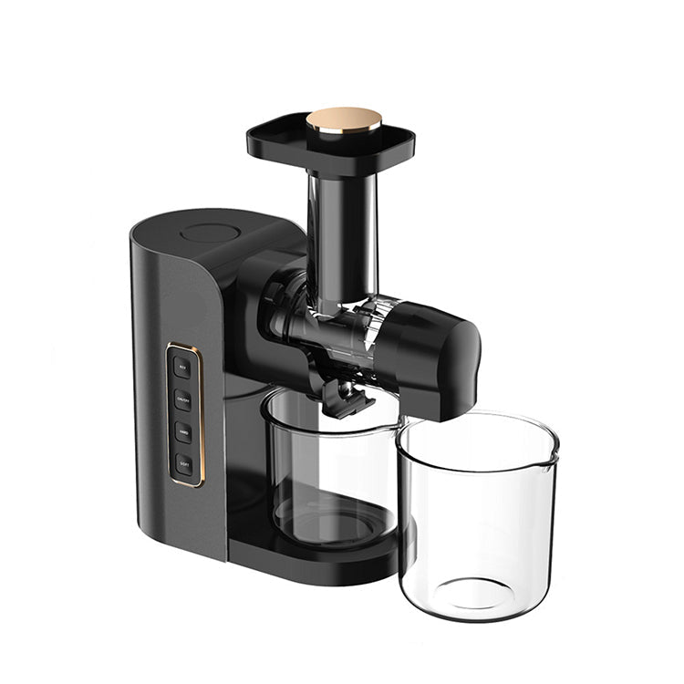 Portable Household Slow Juicer with Low Speed Masticating System and Automatic Pulp Ejection
