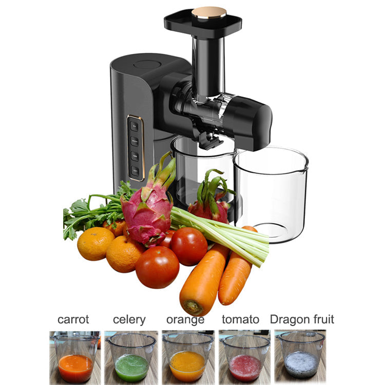 Portable Household Slow Juicer with Low Speed Masticating System and Automatic Pulp Ejection