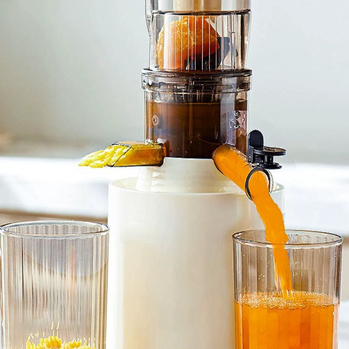 Portable Slow Masticating Juicer Machine with 800ml Capacity for Fresh Juice Prep
