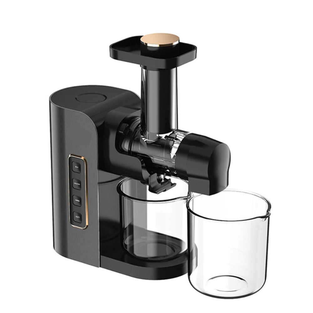 Portable Household Slow Juicer with Low Speed Masticating System and Automatic Pulp Ejection